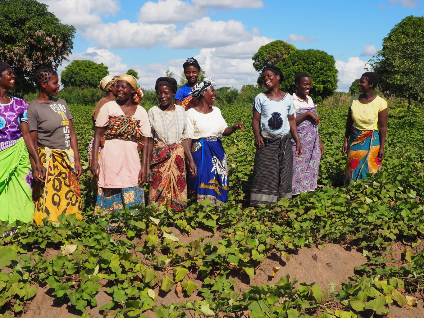 Group of female farmers laughing together in a potato field in Malawi - Action on Poverty