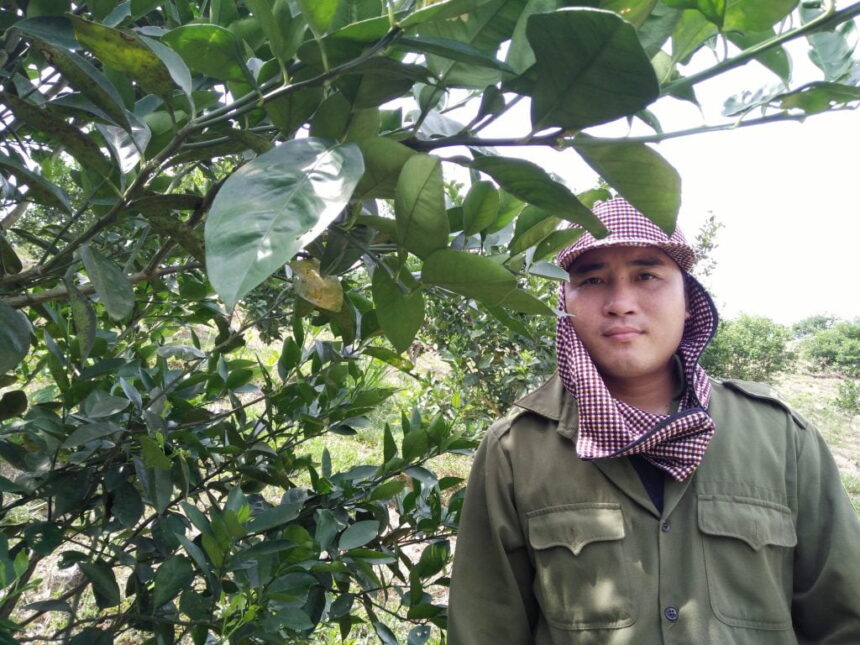 Mr Ho Ba Luan next to an orange tree