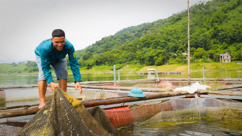 Mr Duy hauling in fish nets