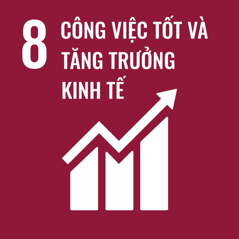 SDG8 Vie Decent work and Economic growth