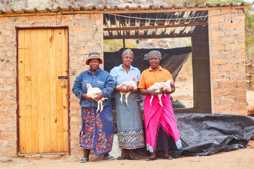 CTDO Zimbabwe Food Security Farmers