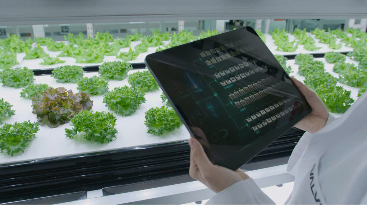 AVALVE AI-powered hydroponics Action on Poverty P4G