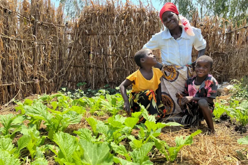 Fanney in her Victory Garden in Malawi - Action on Poverty