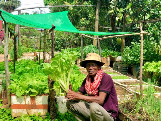 Face-to-Face Cambodia Victory Gardens Food Security