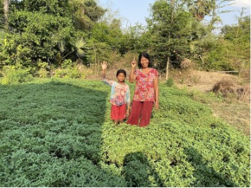 F2F Cambodia sustainable solutions to hunger and poverty