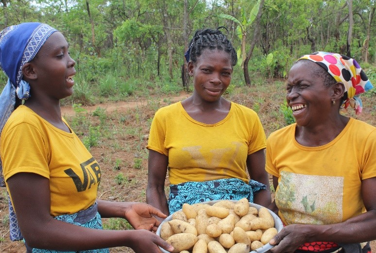 Strengthening Irish potato and orange fleshed sweet potato value chains Malawi Mozambique Zambia